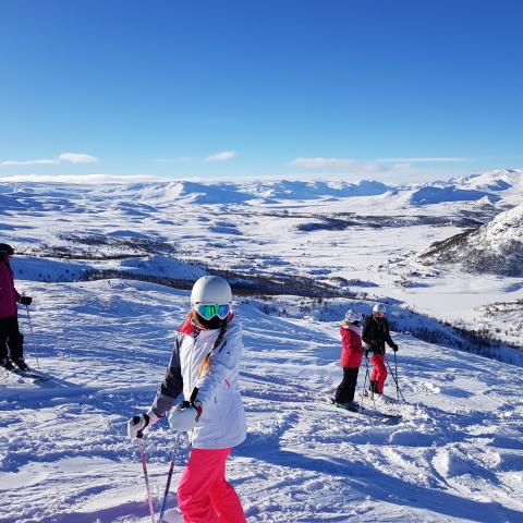 Skidresa